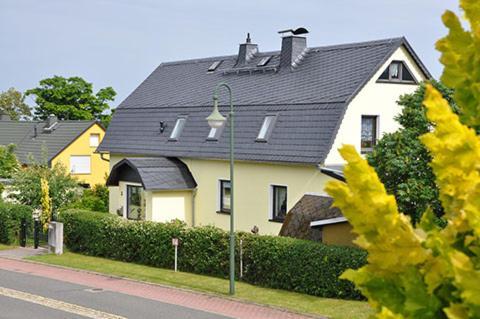 Glasperlenfloh *