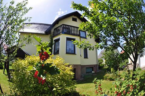 Glasperlenfloh * Ilmenau